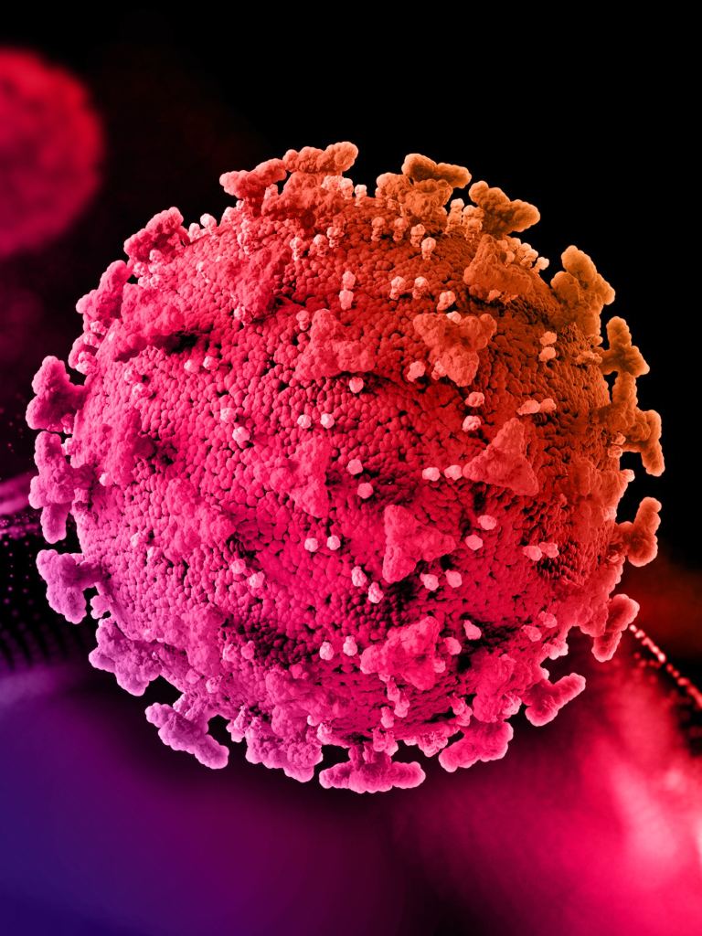 Diga não ao HPV - Vacine-se